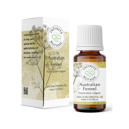 Australian Fennel Essential Oil