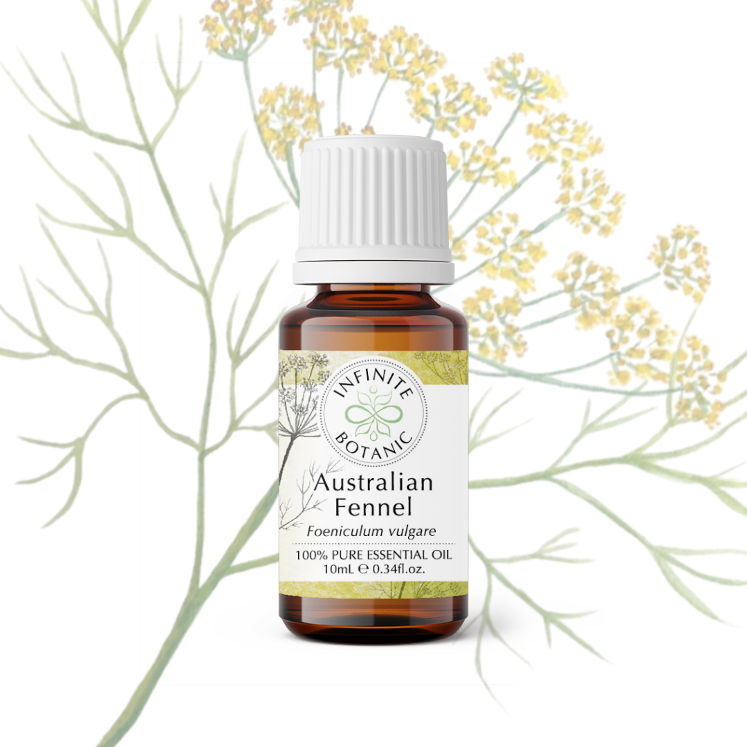 Australian Fennel Essential Oil