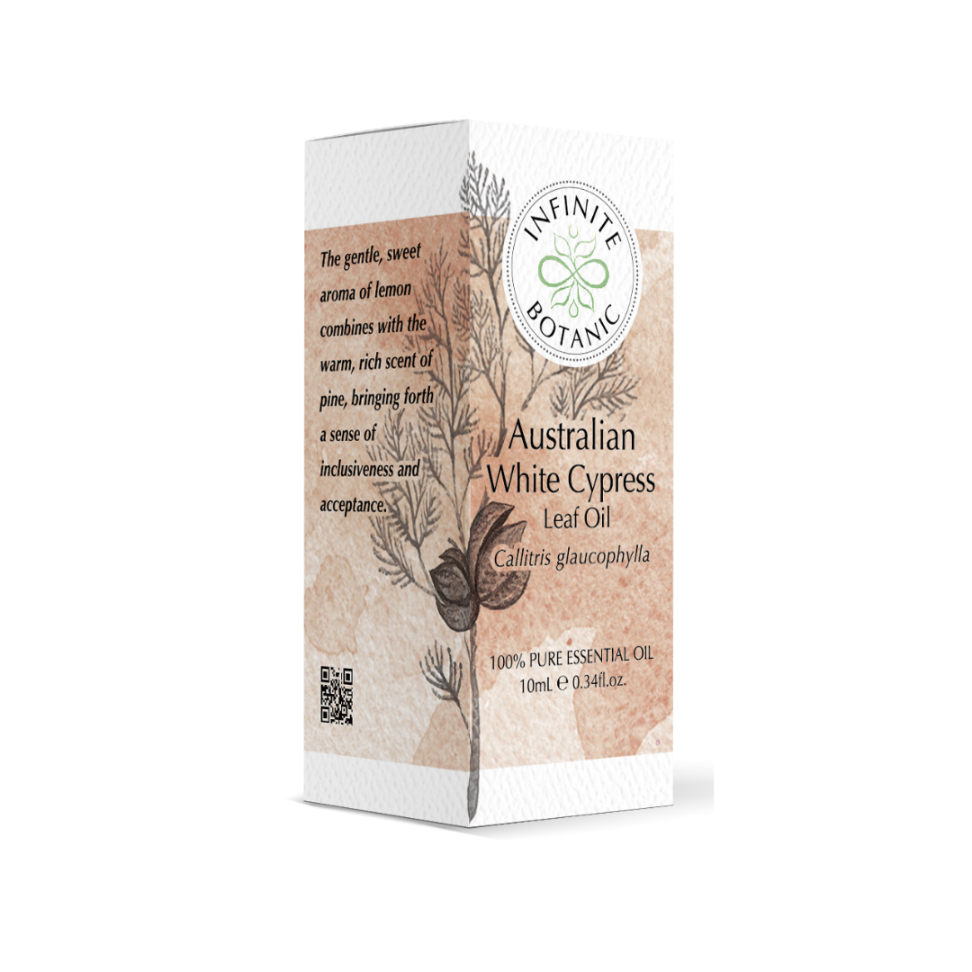 Australian White Cypress Leaf Essential Oil